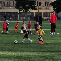 Vijf nieuwe guppenteams in de competitie